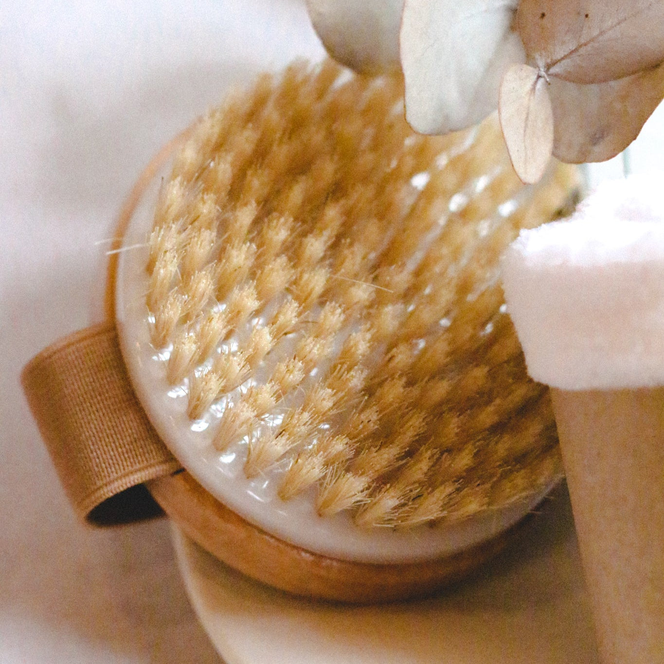 Round Body Brush